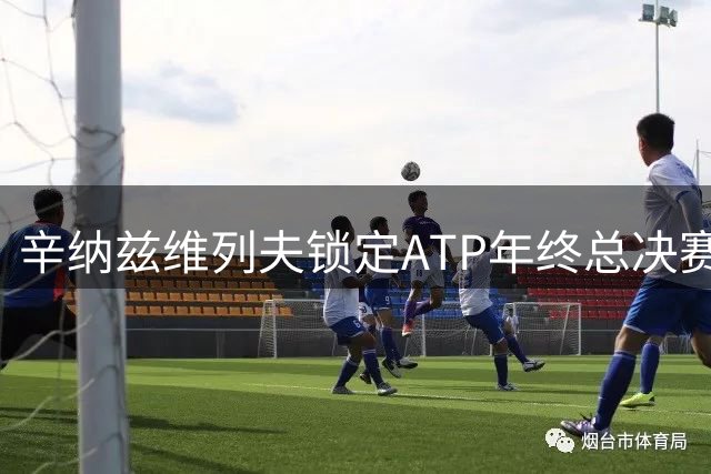 辛纳兹维列夫锁定ATP年终总决赛席位